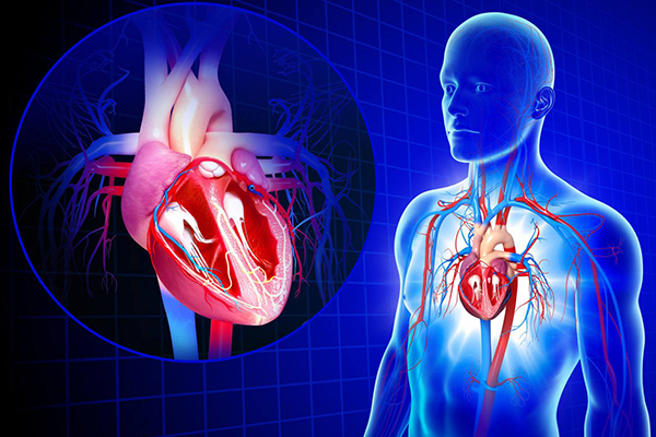 DISEASES OF CARDIO-VASCULAR SYSTEM